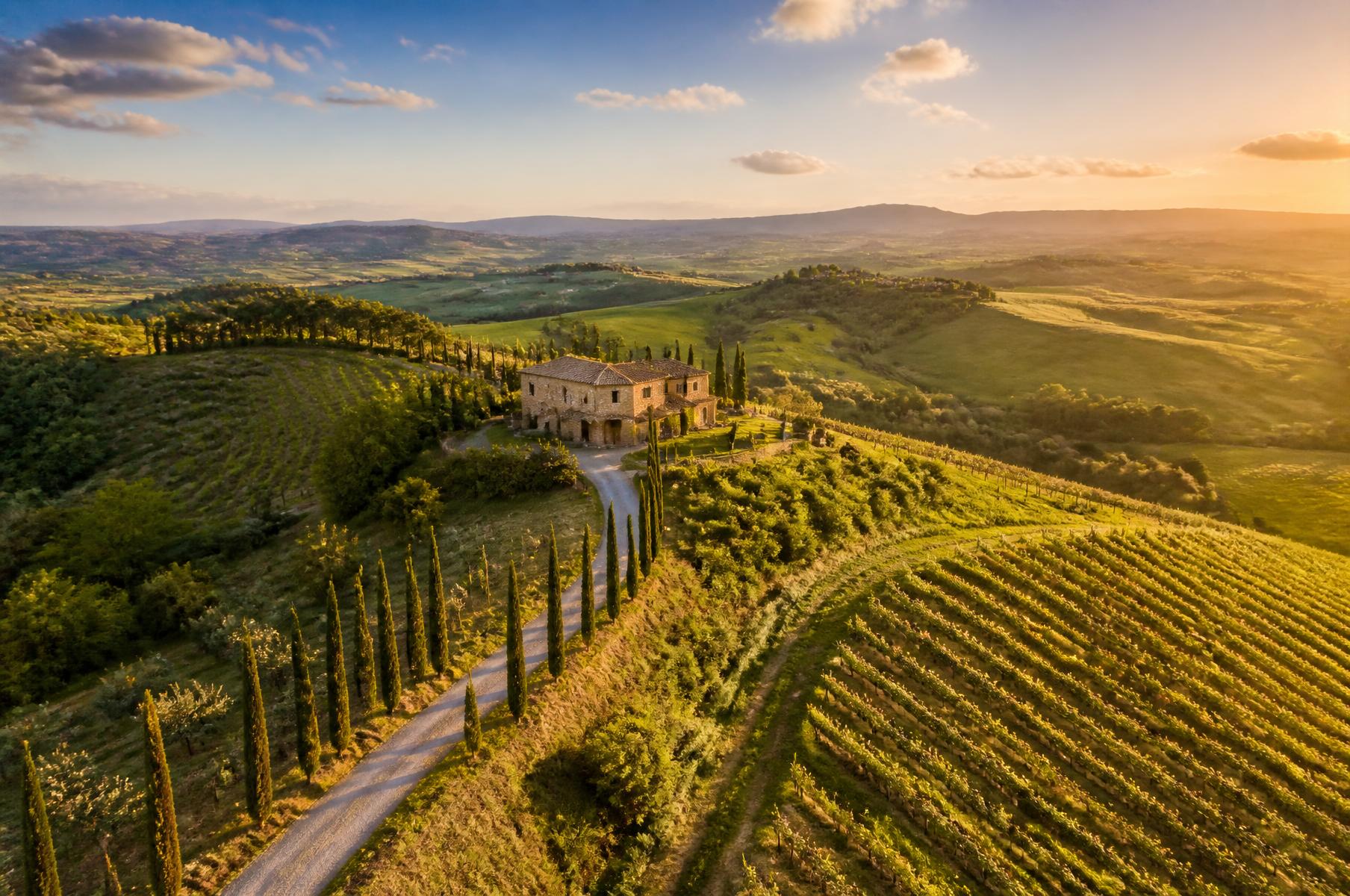 Paisaje de la Toscana con colinas suaves, viñedos y cipreses